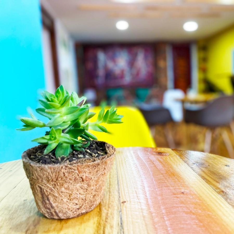 Hostal Macondo ボゴタ エクステリア 写真